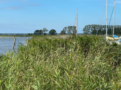 Boddenrundweg von Michaelsdorf bis Neuendorf