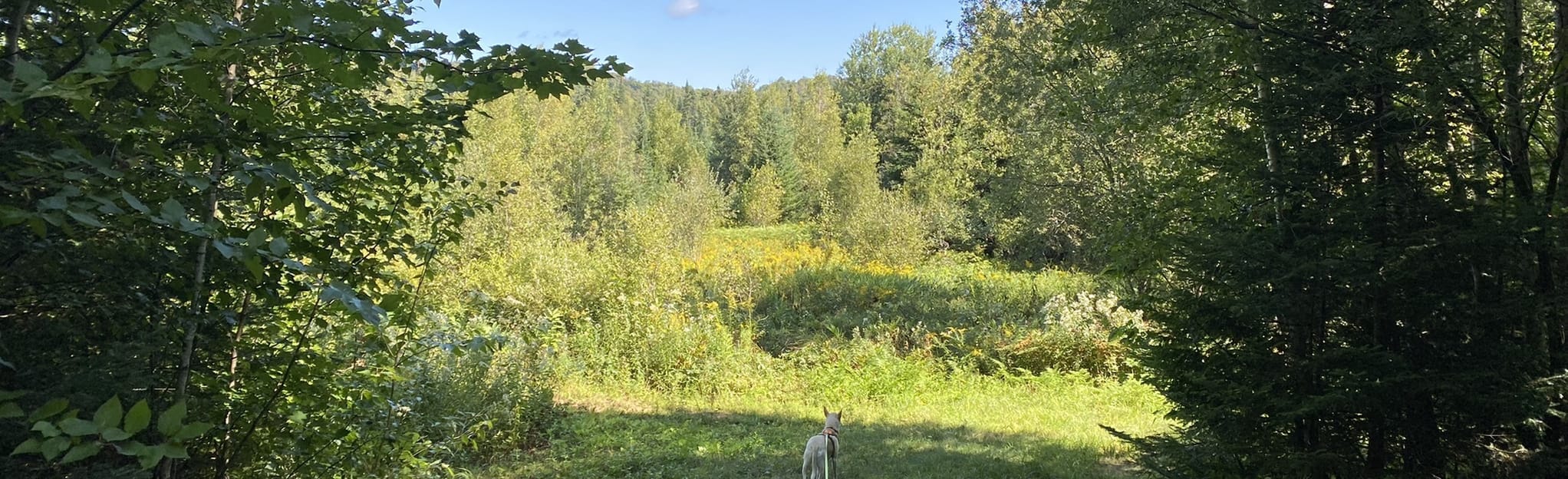Sentier Belvédère via Base de Plein Air 30 Fotos Québec, Kanada