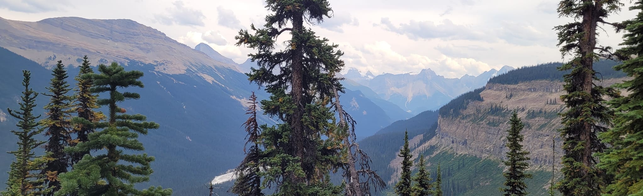 twin-falls-from-twin-falls-campground-british-columbia-canada