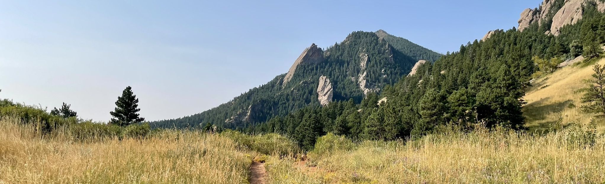 Bear Canyon Trail to Bear Peak West Ridge: 665 Reviews, Map - Colorado ...