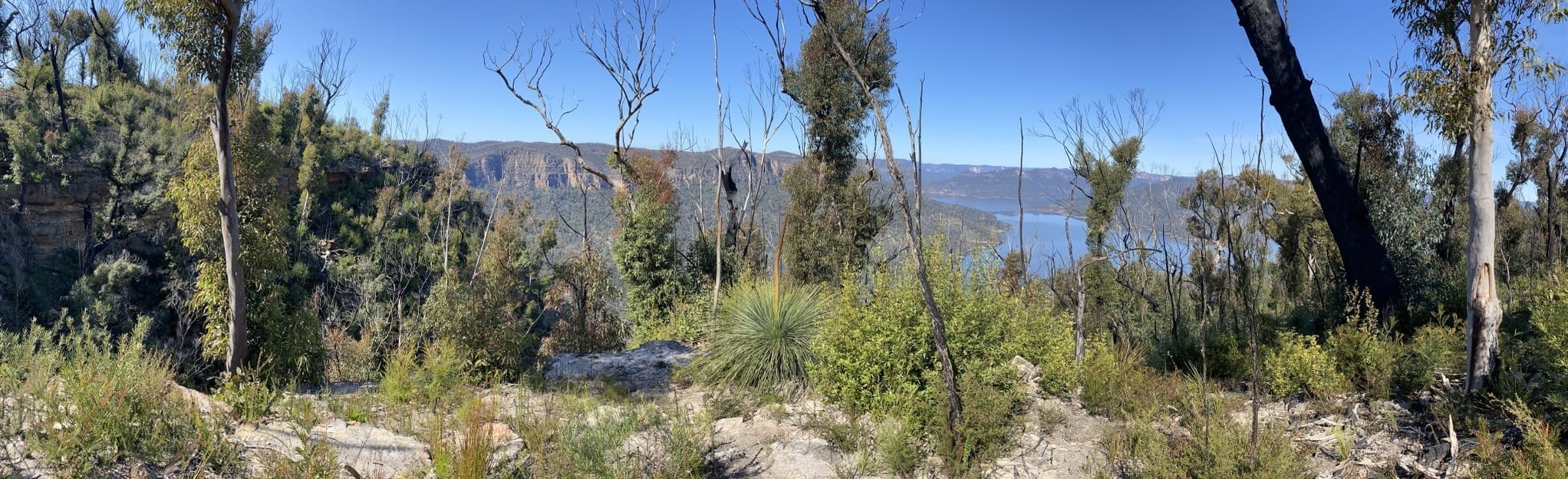 Wentworth Falls to Mcmahon's Point via King Tableland Road 14 Reviews