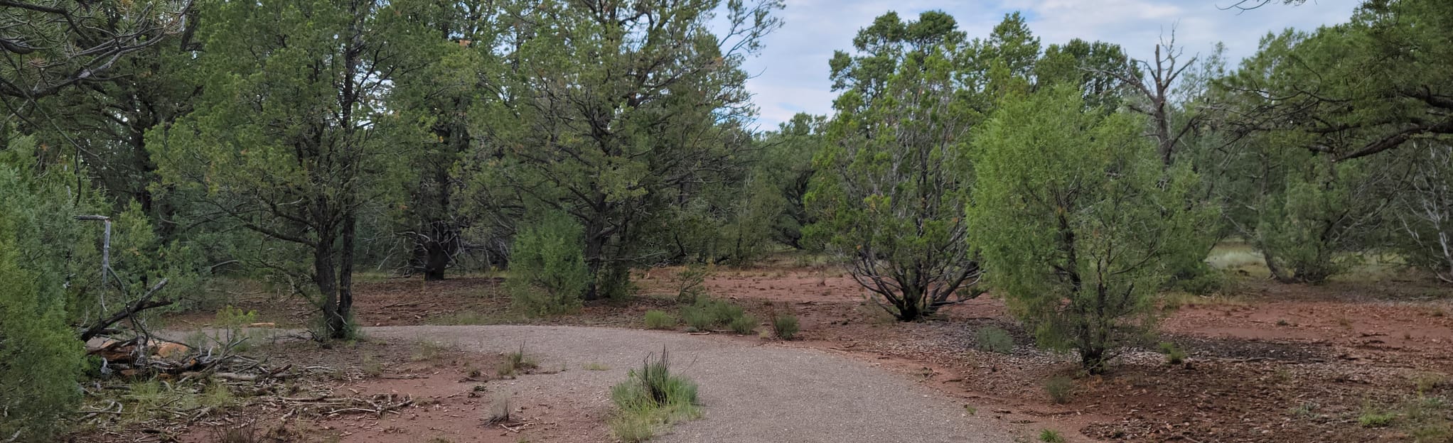 Glorieta Battlefield Trail, New Mexico 158 Reviews, Map AllTrails