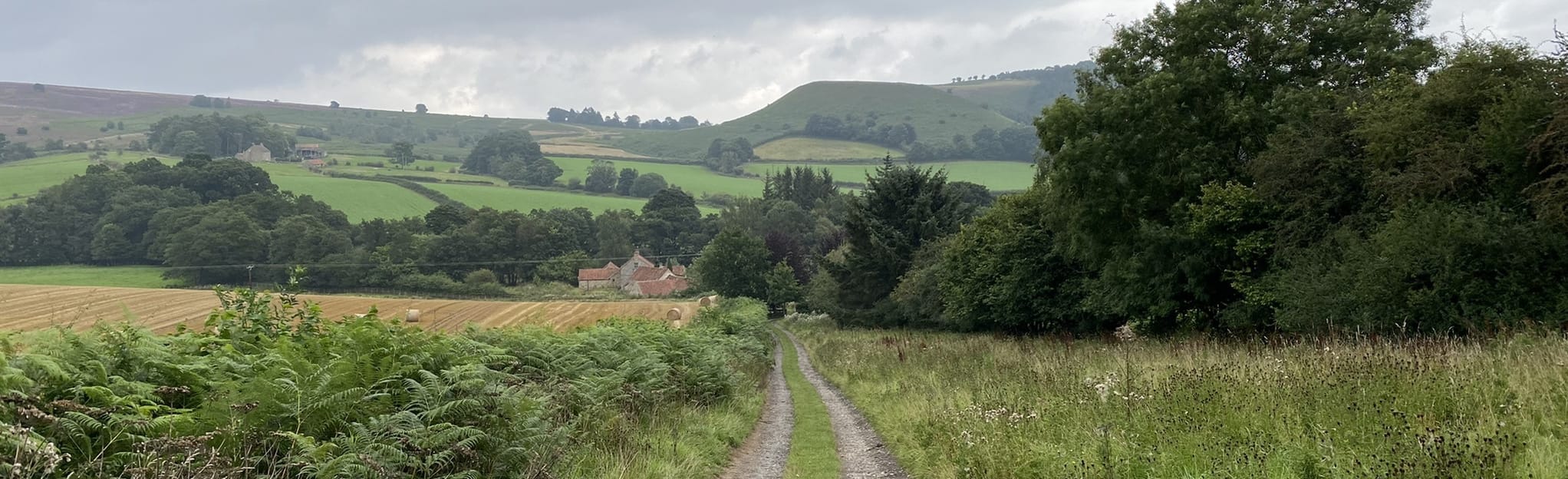 Kirkbymoorside, Lastingham, HuttonleHole and Gillamoor Circular