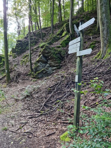Kleinostheim: 10 Jahre länger leben… - grüne Route