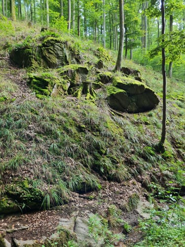 Kleinostheim: 10 Jahre länger leben… - grüne Route