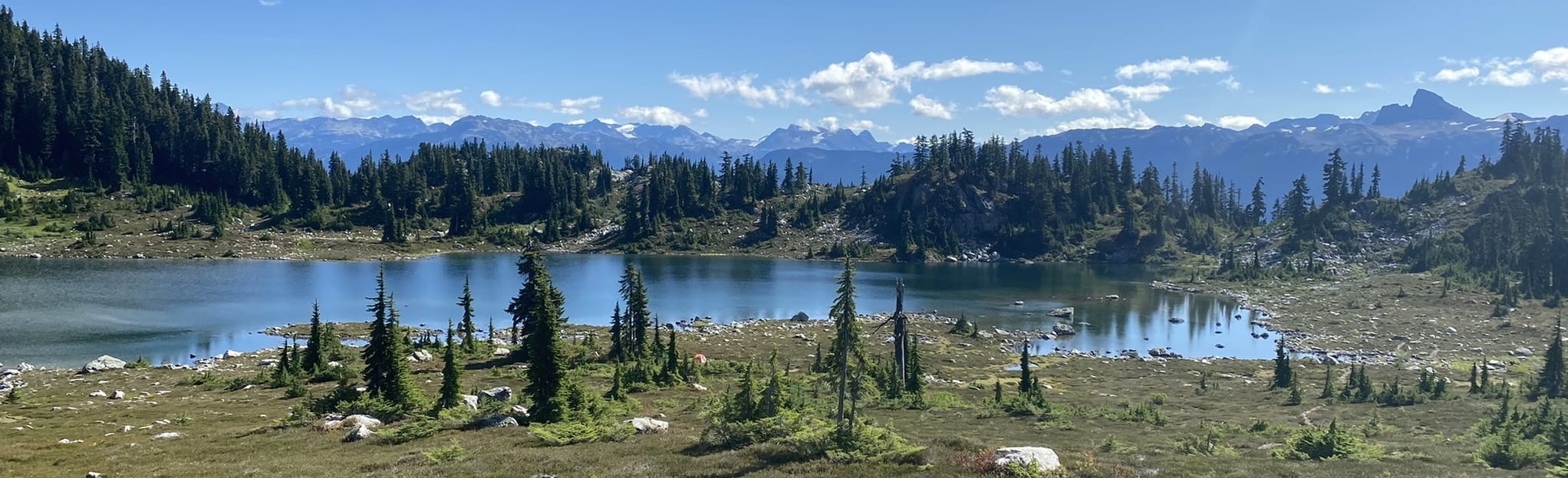 Brew Mountain via Roe Creek Trail, British Columbia, Canada 79
