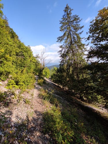 Von Hubmersberg zur Burgruine Lichtenegg