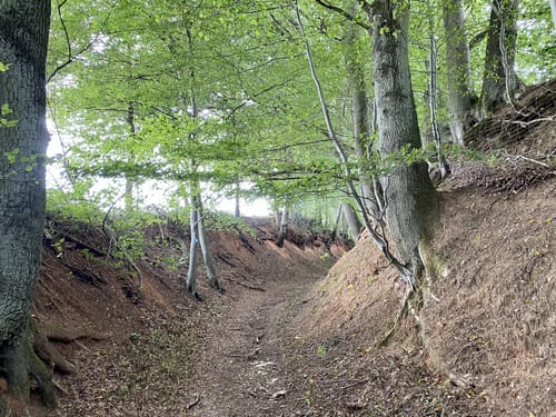 Herzog-Karl-II-August-Pfad (Premiumwanderweg)