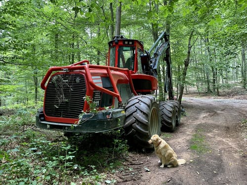 Herzog-Karl-II-August-Pfad (Premiumwanderweg)
