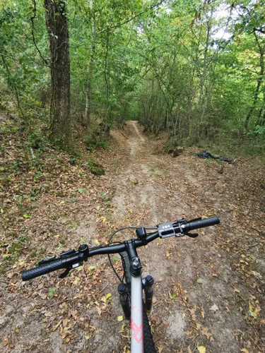 2023 Best Forest Trails in AllTrails