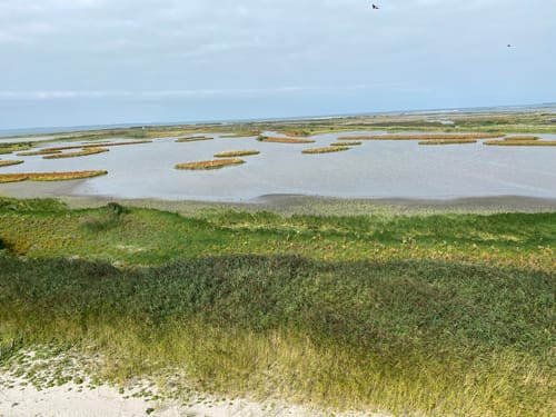 2023 Best 10 Views Trails in Nieuw Land National Park AllTrails