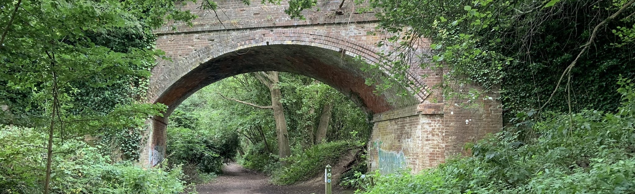 Bramley and Downs Link Circular, Surrey, England 27 Reviews, Map