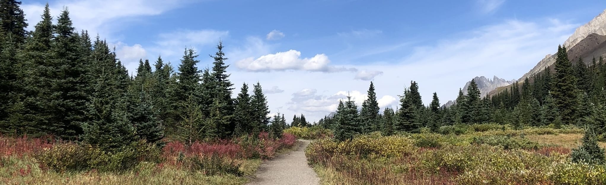 Highwood Meadows 43 Reviews, Map Alberta, Canada AllTrails