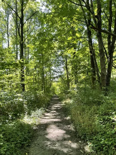 Best 10 Hikes and Trails in Shades State Park | AllTrails