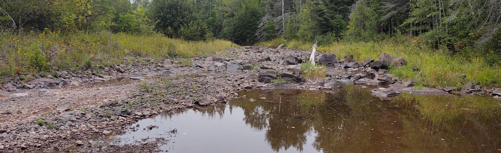 Knife River Trail 241 Reviews, Map Minnesota AllTrails