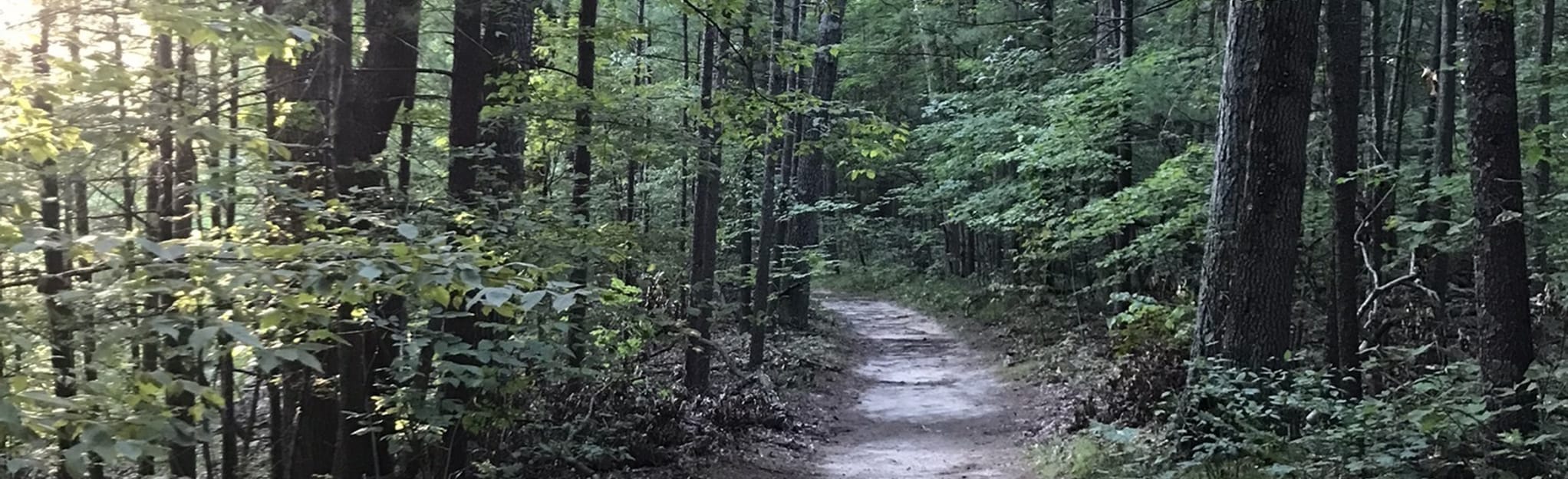 Lightning Bend Park Red Trail, Michigan 55 Reviews, Map AllTrails