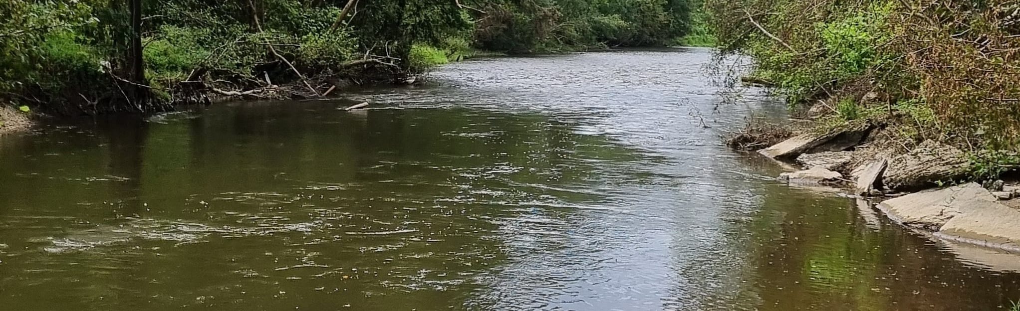 From GendronCelles to Houyet, Namur Province, Belgium 19 Reviews