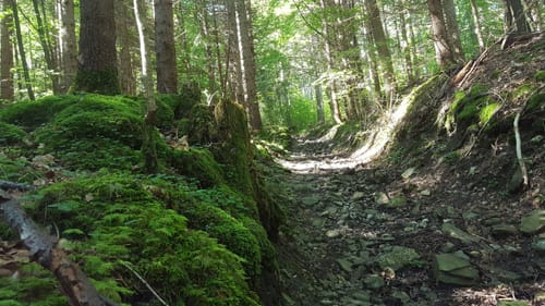 Hinteres Hörnle von Grafenaschau