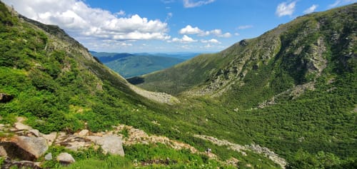 are dogs allowed hiking trails white mountains