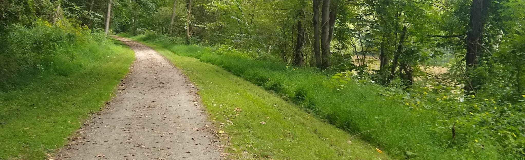 West Penn Trail 125 Reviews, Map Pennsylvania AllTrails