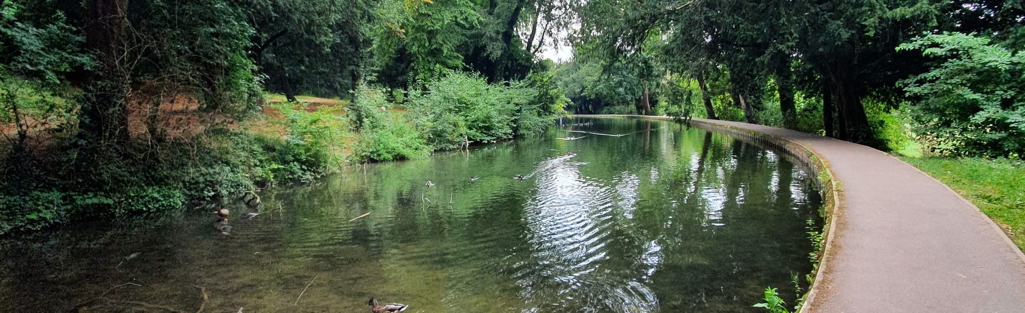 River Wye and Rye Park Circular 53 Reviews, Map Buckinghamshire, England AllTrails