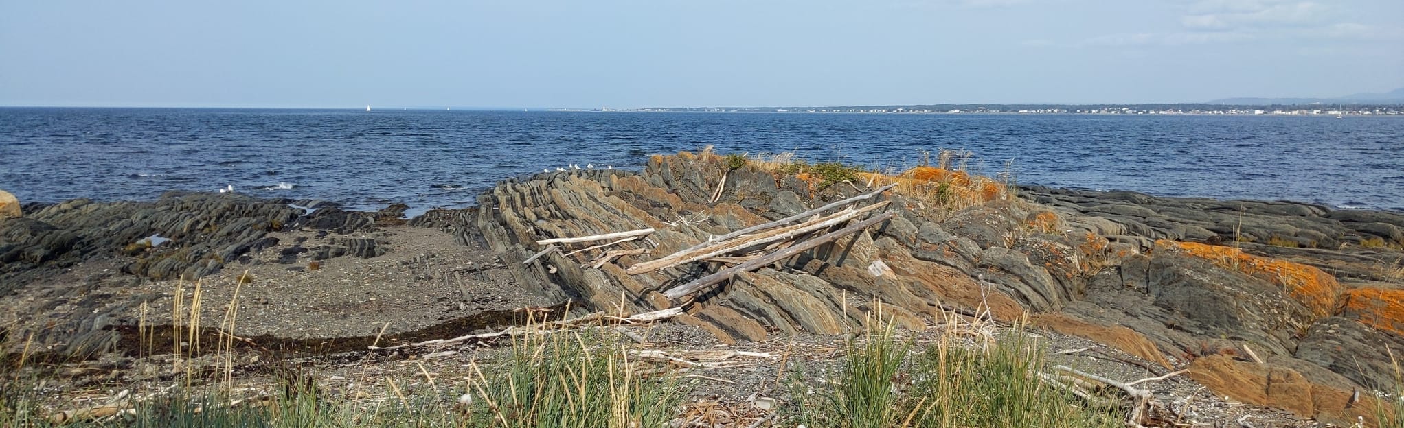 Boucle île SaintBarnabé, Quebec, Canada 6 Reviews, Map AllTrails