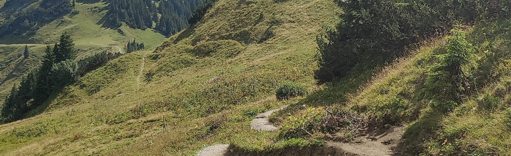 Hahnenkamm and Lechaschauer Alpe | Map, Guide - Tyrol, Austria | AllTrails