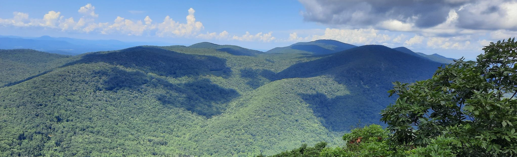 The Pinnacle and Flat Top Mountain: 425 Reviews, Map - Virginia | AllTrails