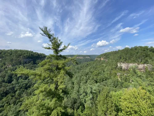 2023 Best Easy Trails in Red River Gorge Geological Area | AllTrails