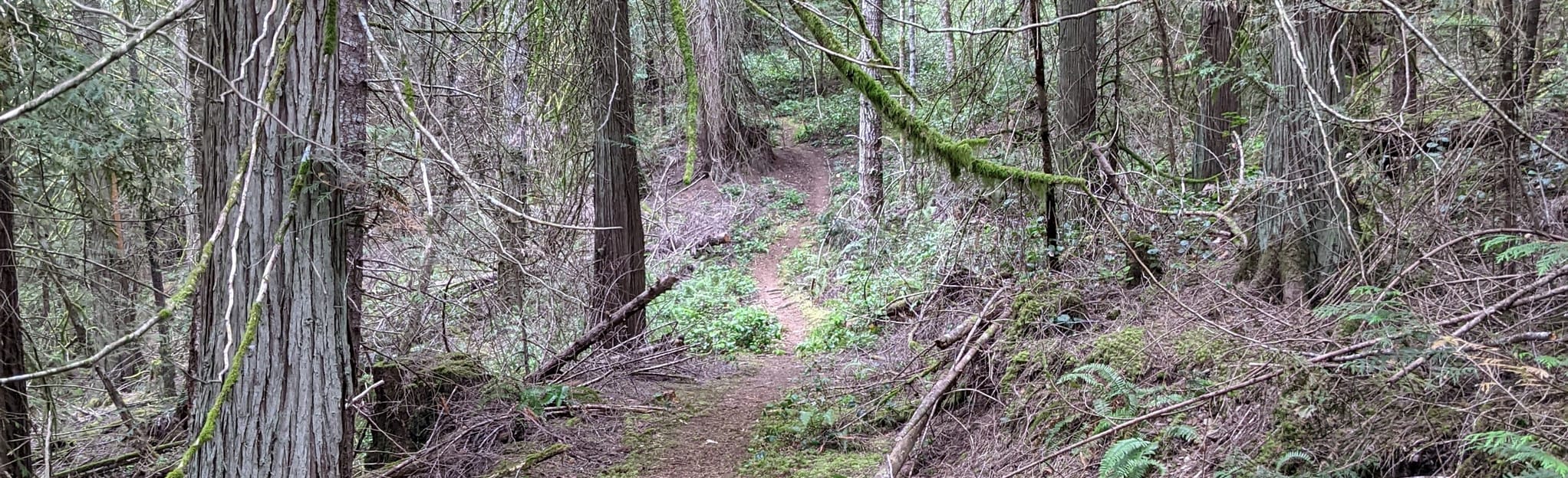 Cramer Hill Loop, British Columbia, Canada 16 Reviews, Map AllTrails