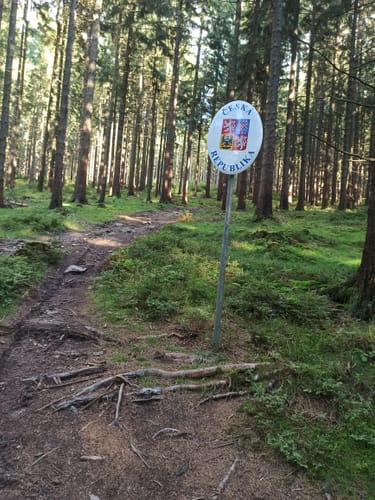 Neualbenreuth: Auf stillen Waldpfaden zur Grenze
