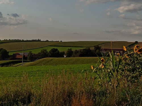 Neualbenreuth: Auf stillen Waldpfaden zur Grenze