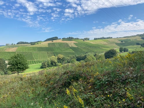 Karlskopf Panoramaweg (Moselsteig Seitensprung)