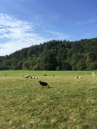 HeimatSpur Mühlenweg Strotzbüsch