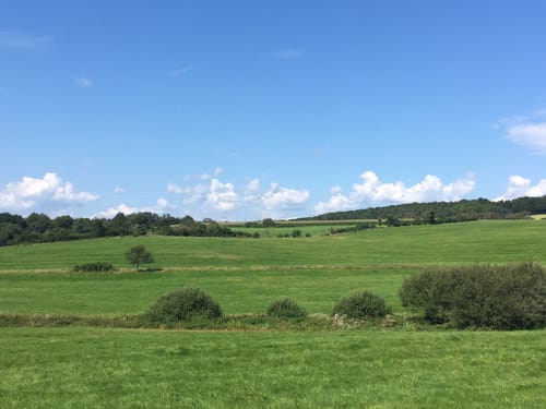 HeimatSpur Mühlenweg Strotzbüsch