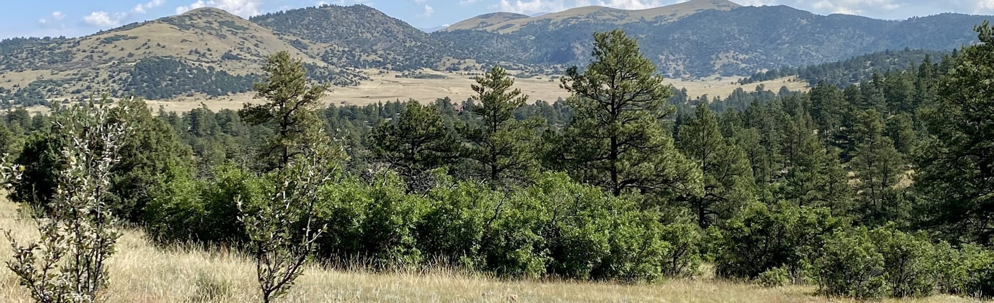 Deer Haven Trail Colorado AllTrails
