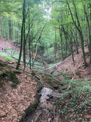 Oppig-Grät-Weg (Traumschleife)