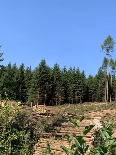 Knebelsrodroute (Extratour)