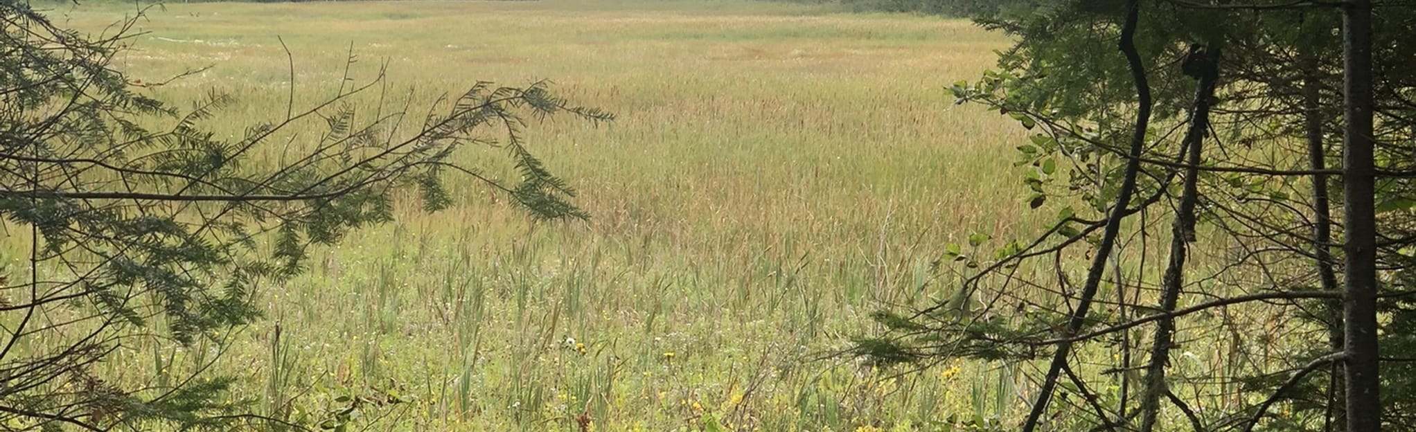 Eel River Crossing Trail, New Brunswick, Canada 19 Reviews, Map