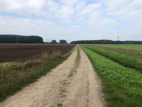 66-Seen-Rundweg Etappe 3: Brieselang - Henningsdorf