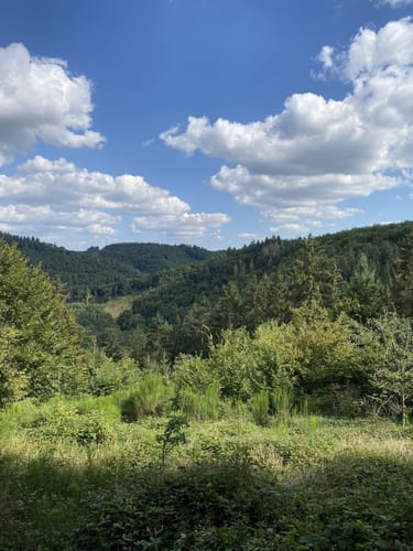 Kastellen - Geierlay Hängebrücke - Burgruine Balduin