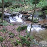 Loyalsock Trail, Pennsylvania - 218 Reviews, Map | AllTrails