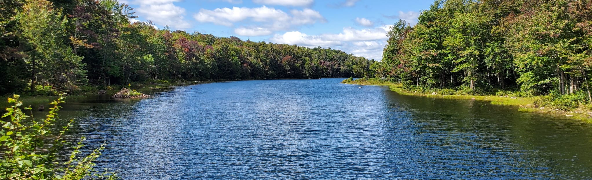 Nine Corner Lake Trail 239 Reviews, Map New York AllTrails