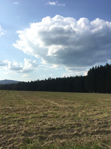Rundwanderweg 1 Vordorf
