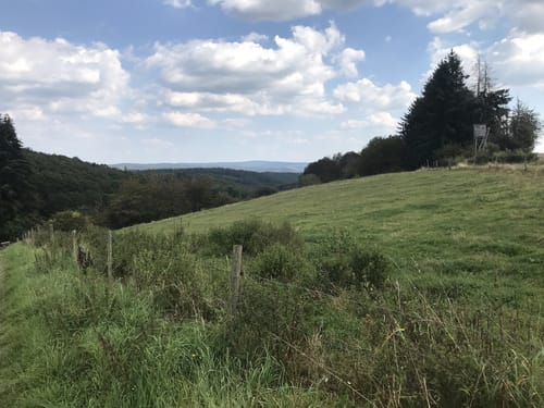Ranseler Höhenrausch (Premiumwanderweg)
