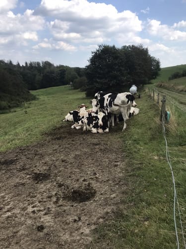 Ranseler Höhenrausch (Premiumwanderweg)