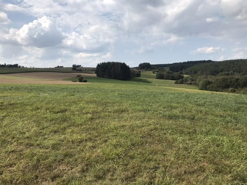 Ranseler Höhenrausch (Premiumwanderweg)
