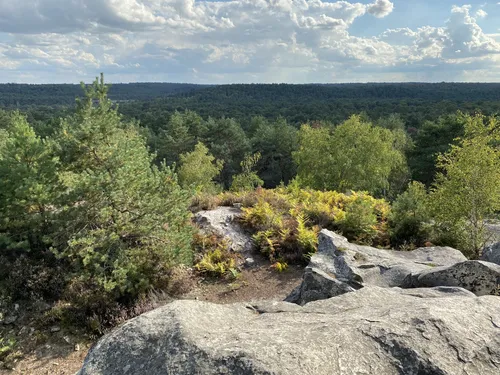 Fontainebleau forest: Gorges du Houx - Mont Aigu, Seine-et