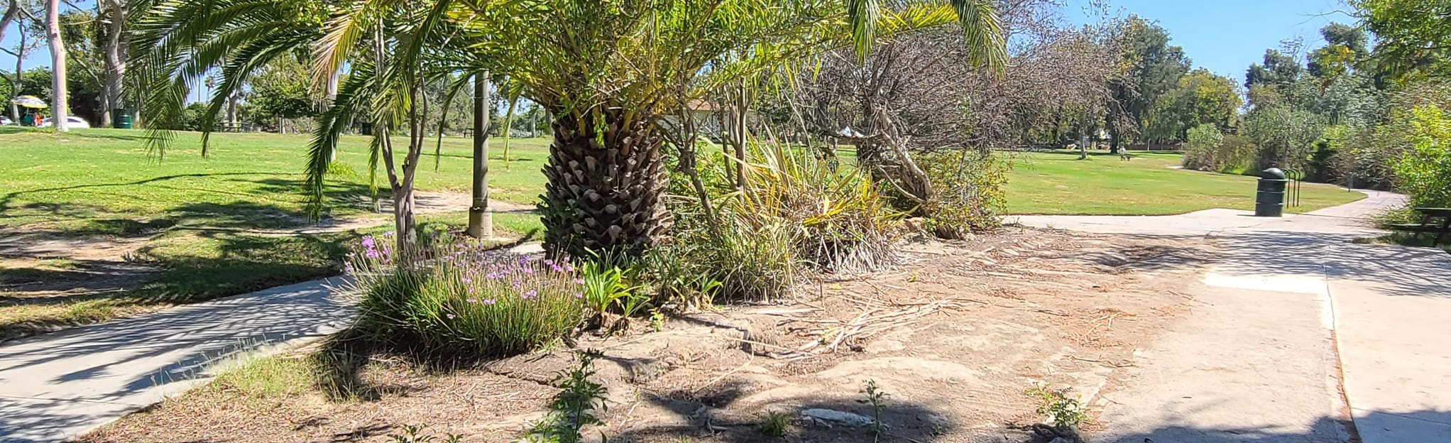 El Dorado Lake Loop 58 Reviews, Map California AllTrails