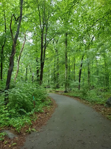 Best Wheelchair Friendly Trails in Rockwood Park